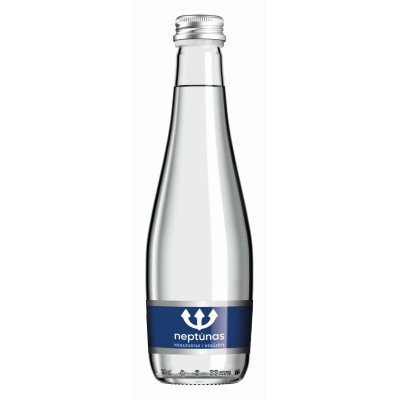 Mineral water non-carbonated NEPTUNE (glass), 330 ml